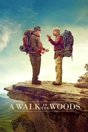 28 Best Movies Like A Walk In The Woods ...