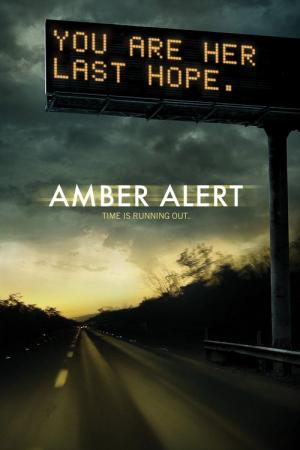 24 Best Movies Like Amber Alert ...