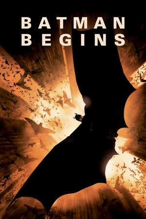 30 Best Movies Like Batman ...