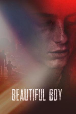 26 Best Movies Like Beautiful Boy ...