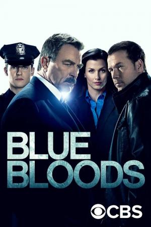 16 Best Shows Like Blue Bloods ...