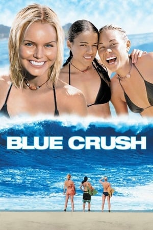 23 Best Movies Like Blue Crush ...