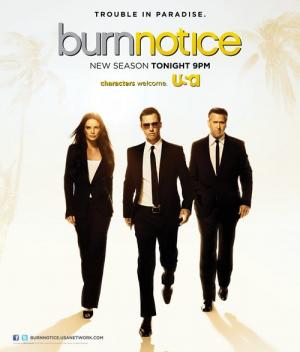 21 Best Shows Like Burn Notice ...