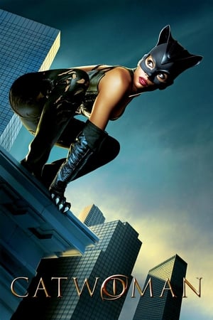 29 Best Movies Like Catwoman ...