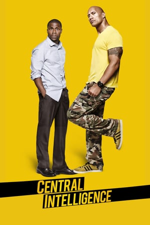 31 Best Movies Like Central Intelligence ...