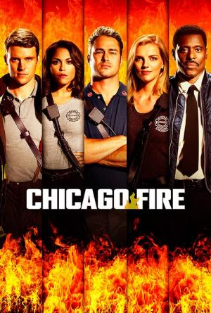 21 Best Shows Like Chicago Fire ...