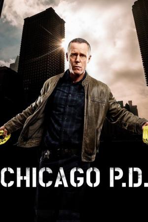 21 Best Shows Like Chicago Pd ...