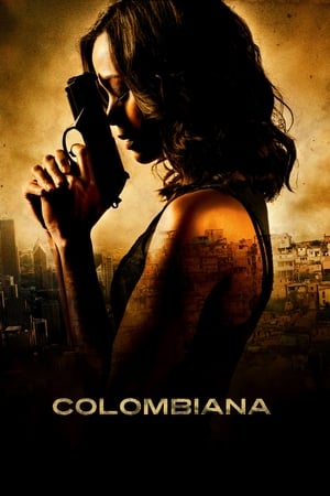 30 Best Movies Similar To Colombiana ...
