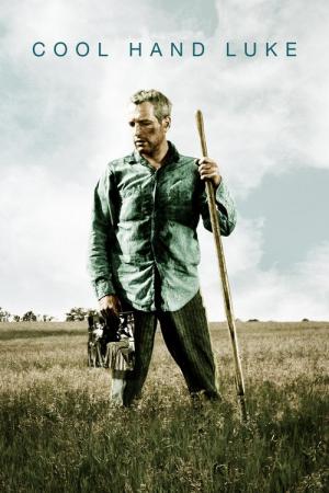 23 Best Movies Like Cool Hand Luke ...