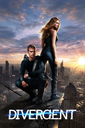 30 Best Movies Like Divergent ...