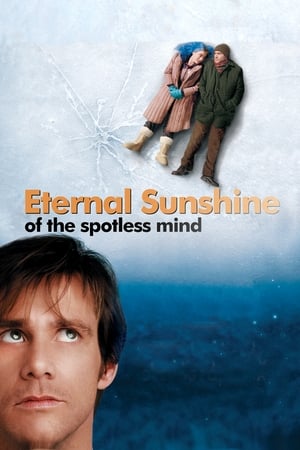 30 Best Movies Like Eternal Sunshine Of The Spotless Mind ...