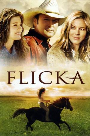 27 Best Movies Like Flicka ...