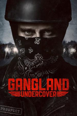 19 Best Shows Like Gangland ...