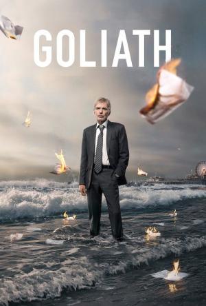 17 Best Shows Like Goliath ...