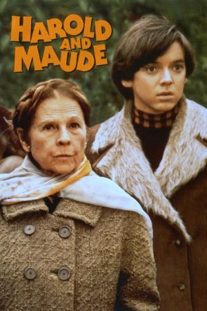 29 Best Movies Like Harold And Maude ...