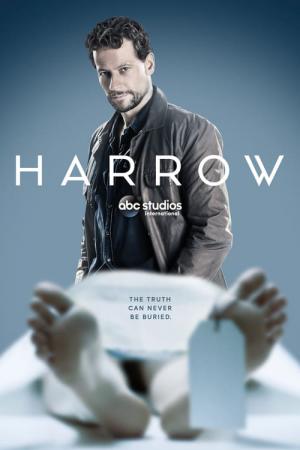 24 Best Shows Like Harrow ...