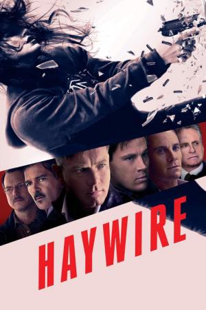 28 Best Movies Like Haywire ...