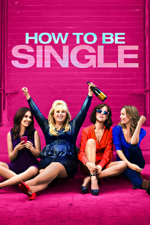 31 Best Movies Like How To Be Single ...