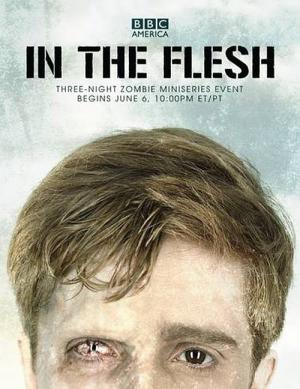 26 Best Shows Like In The Flesh ...
