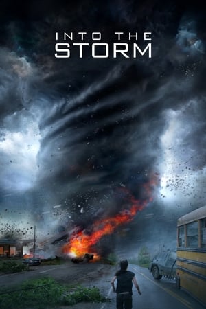 28 Best Movies Like Into The Storm ...