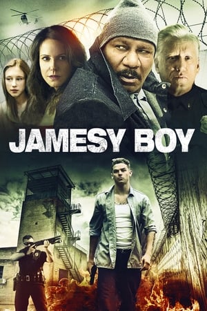 27 Best Movies Like Jamesy Boy ...