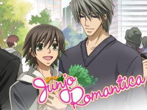 14 Best Shows Like Junjou Romantica ...