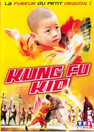 20 Best Kungfu Kids Movies ...