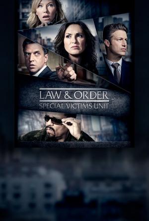 16 Best Shows Like Svu ...