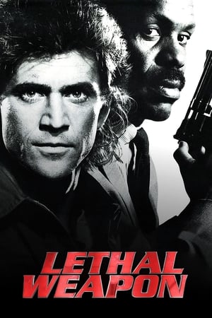 25 Best Shows Like Lethal Weapon ...
