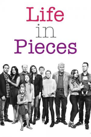 18 Best Shows Like Life In Pieces ...