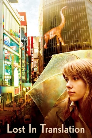 27 Best Movies Like Lost In Translation ...