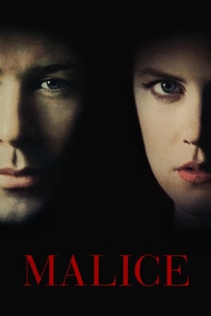 30 Best Movies Like Malice ...