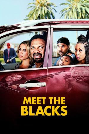 26 Best Movies Like Meet The Blacks ...