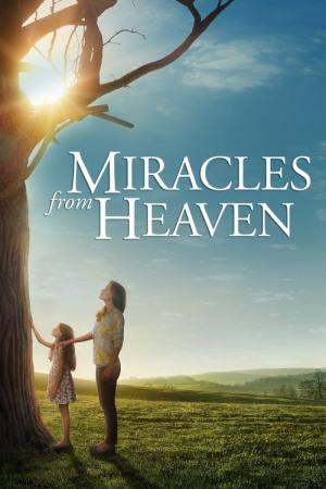 25 Best Movies Like Miracles From Heaven ...