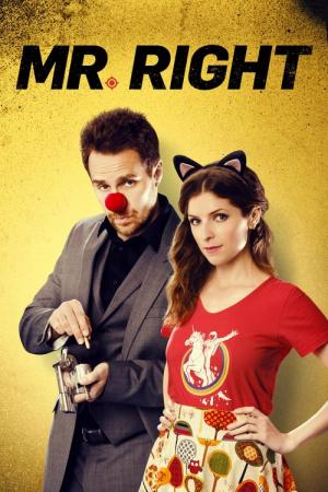 27 Best Movies Like Mr Right ...