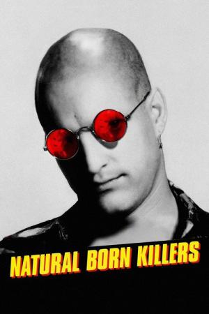 31 Best Movies Like Natural Born Killers ...