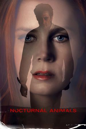 29 Best Movies Like Nocturnal Animals ...
