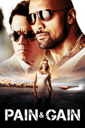 31 Best Movies Like Pain And Gain ...