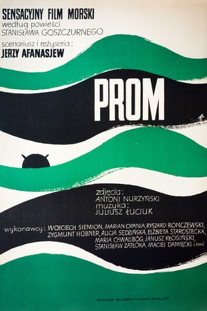 29 Best Movies Like Prom ...