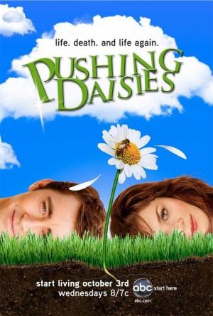 22 Best Shows Like Pushing Daisies ...