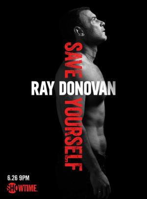 27 Best Shows Like Ray Donovan ...