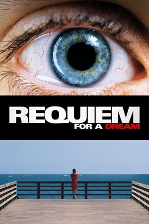 29 Best Movies Like Requiem For A Dream ...