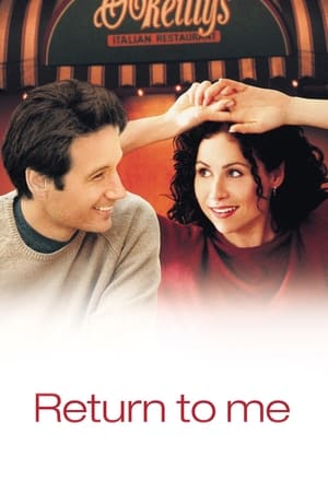 25 Best Movies Like Return To Me ...