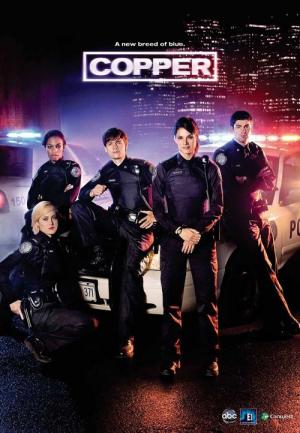 14 Best Shows Like Rookie Blue ...