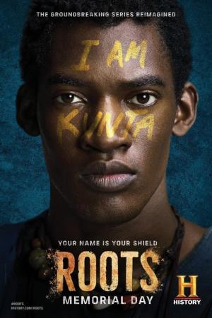 26 Best Movies Like Roots ...