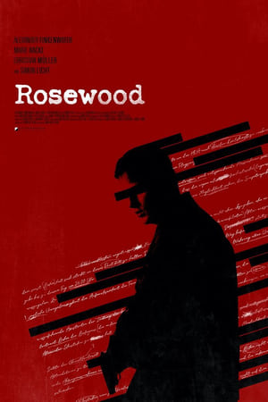 19 Best Shows Like Rosewood ...