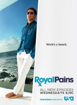 15 Best Shows Like Royal Pains ...