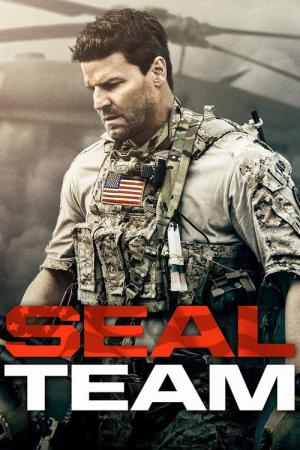 25 Best Shows Like Seal Team ...