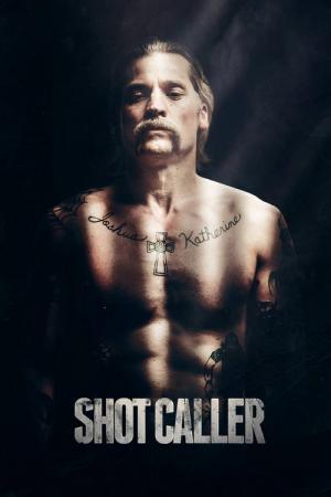 25 Best Movies Like Shot Caller ...