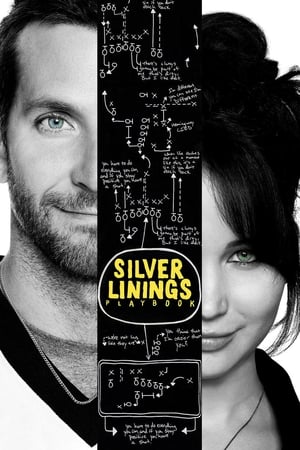 31 Best Movies Like Silver Linings Playbook ...